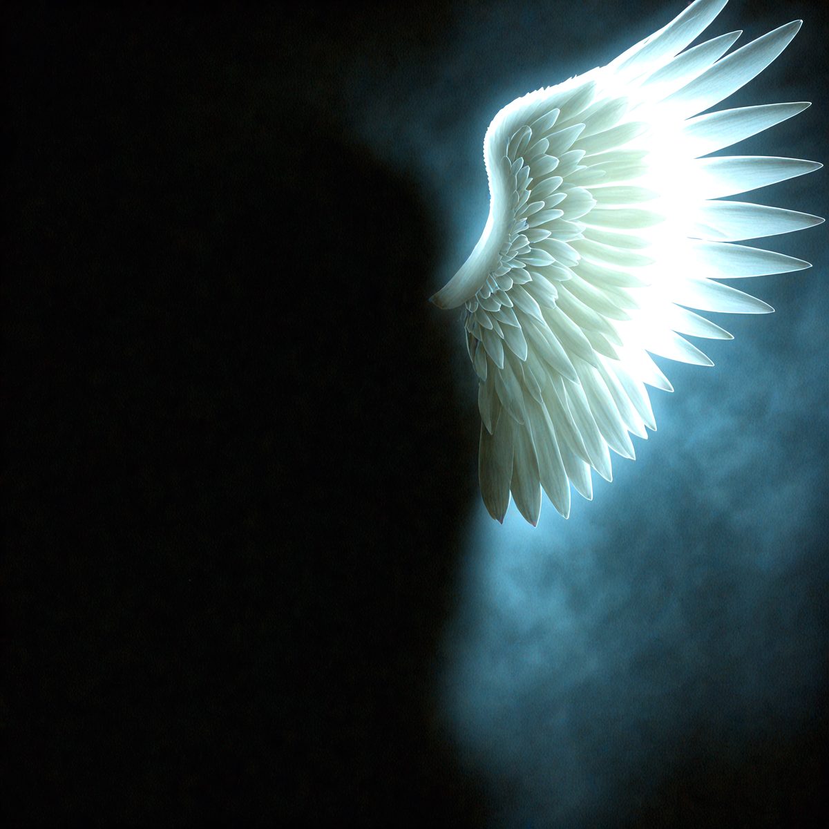 9188 - the-angel-and-the-shadow-a-luminous-angel-wing-contra_250708092753_00001.png